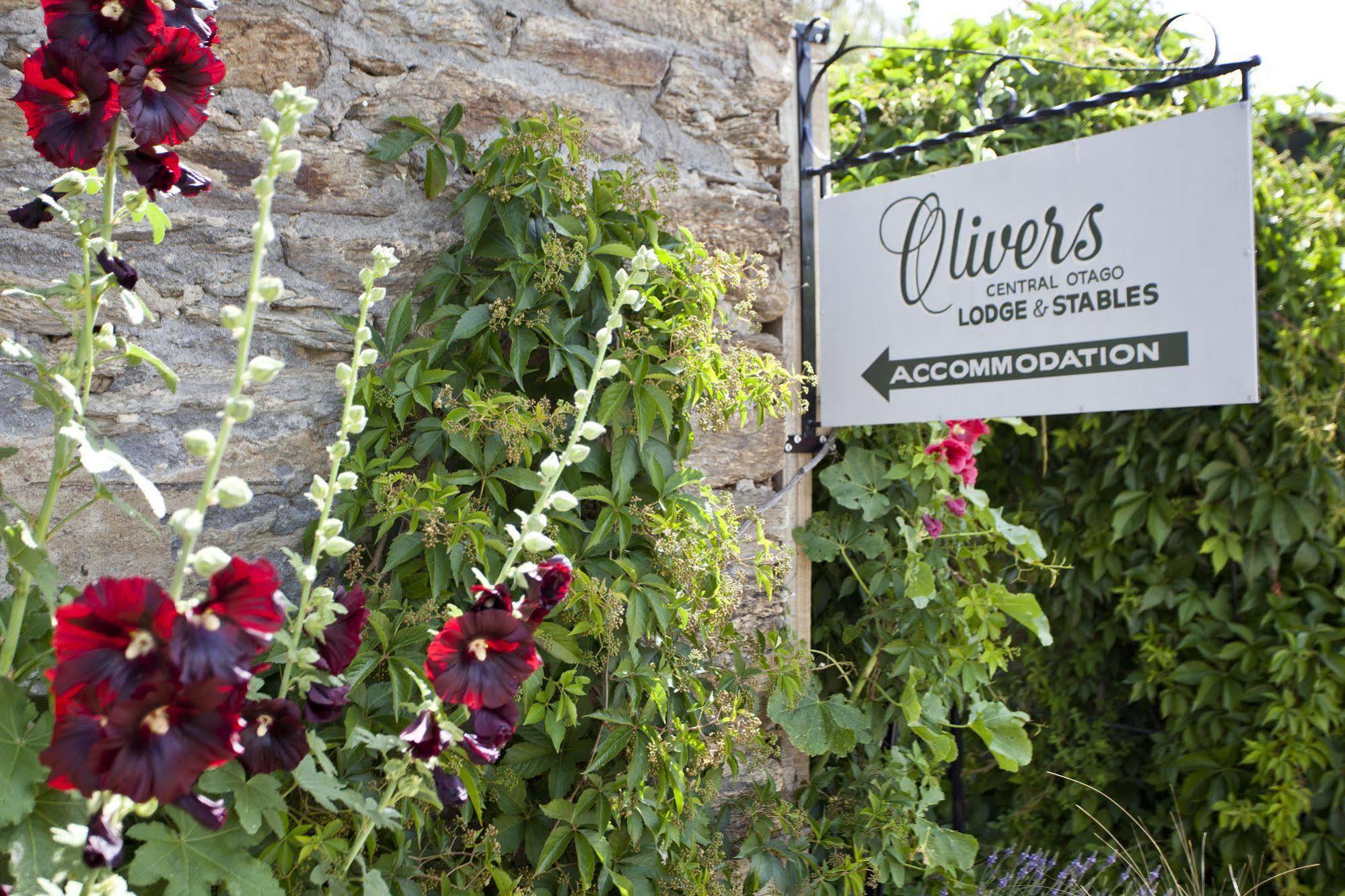 كلايد Olivers Central Otago المظهر الخارجي الصورة